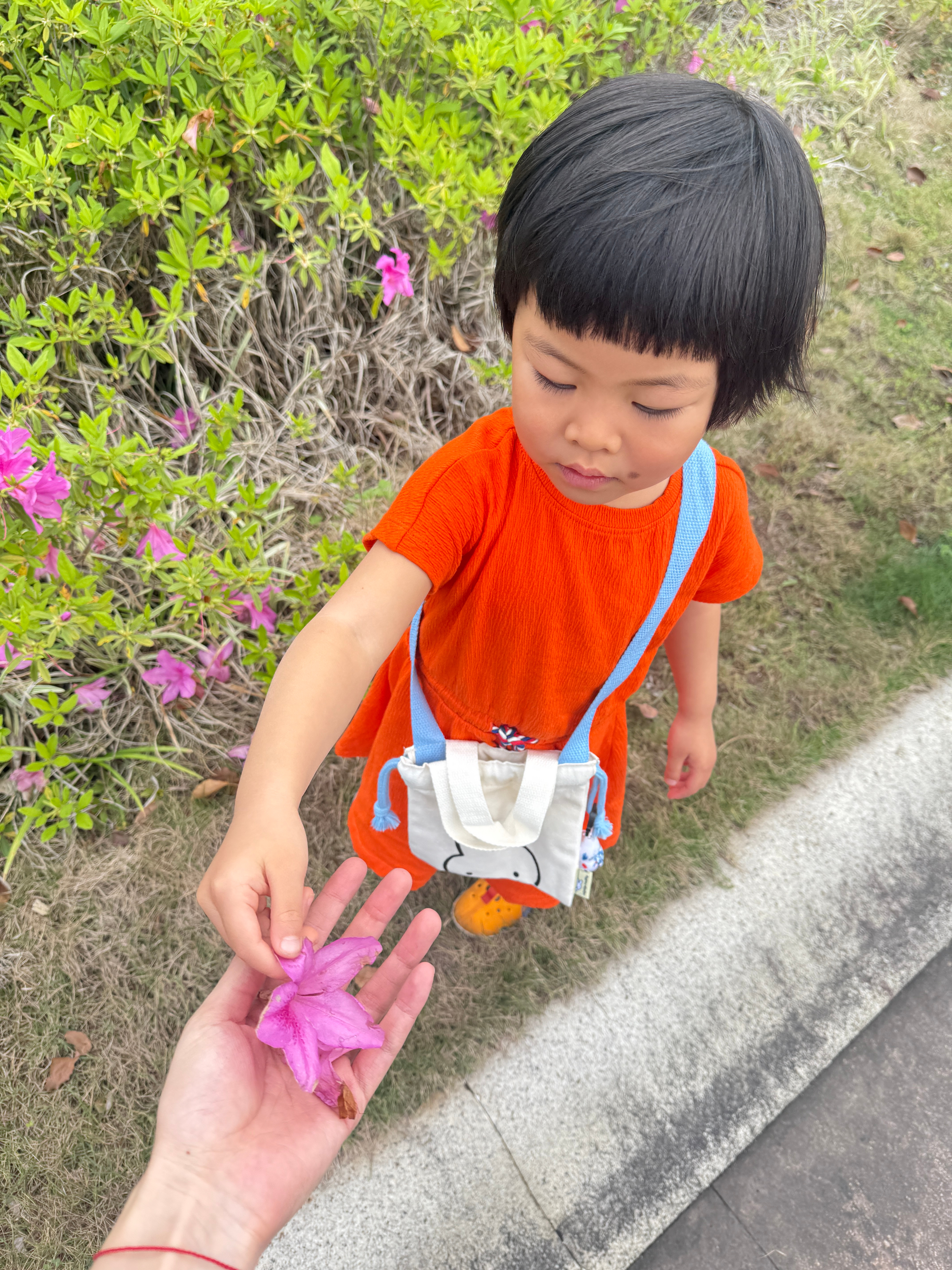 几天没见，孩子虽然没说什么肉麻话但是疯狂的送我花花带娃随手拍