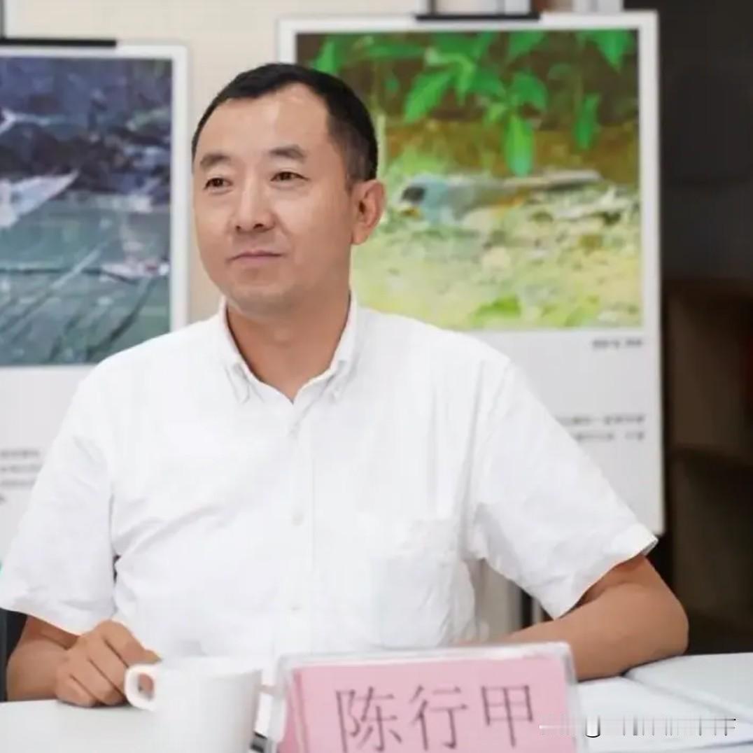 #新东方年薪150万聘陈行甲为总顾问#好钢就是要用到刀刃上！陈行甲号称“陈青天”
