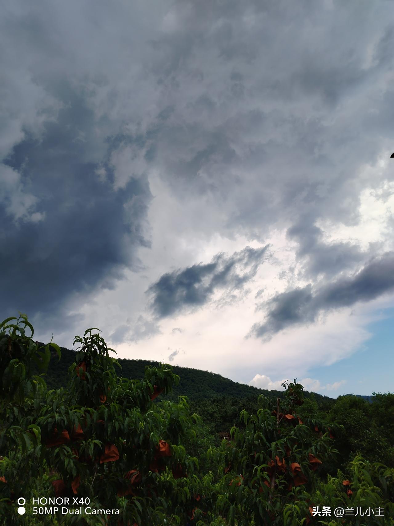下不完的雨，干不完的活。今年感觉有点难熬，空气特别潮湿，每天站在地上，有点不舒服