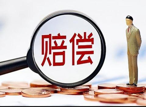 的确不能把西贝的损失，百分百都归咎于网红。贾国龙也犯了很大错误。

这样吧，贾国