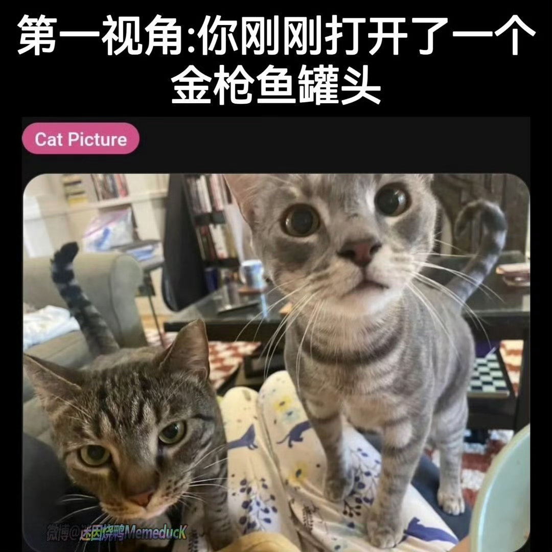 我们一起上了 