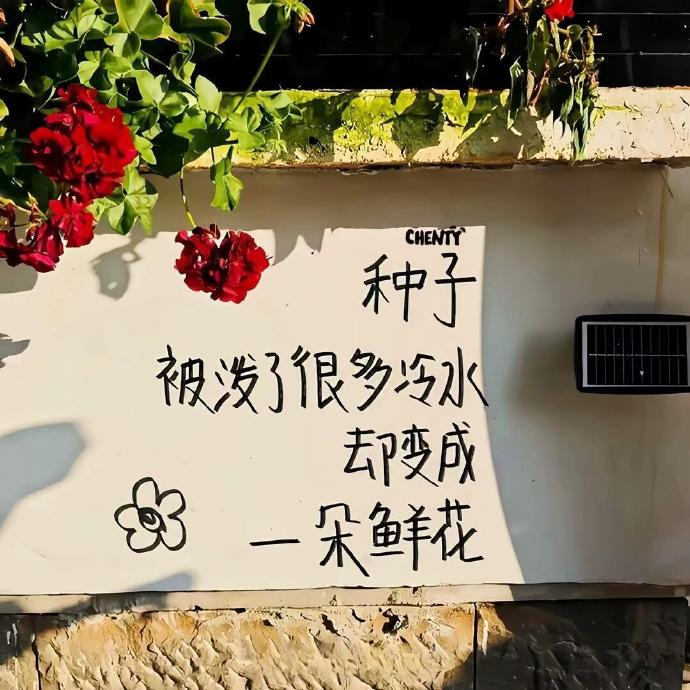 有沮丧的时候，就会有开心的时候，再撑一撑吧，总会好的。 
