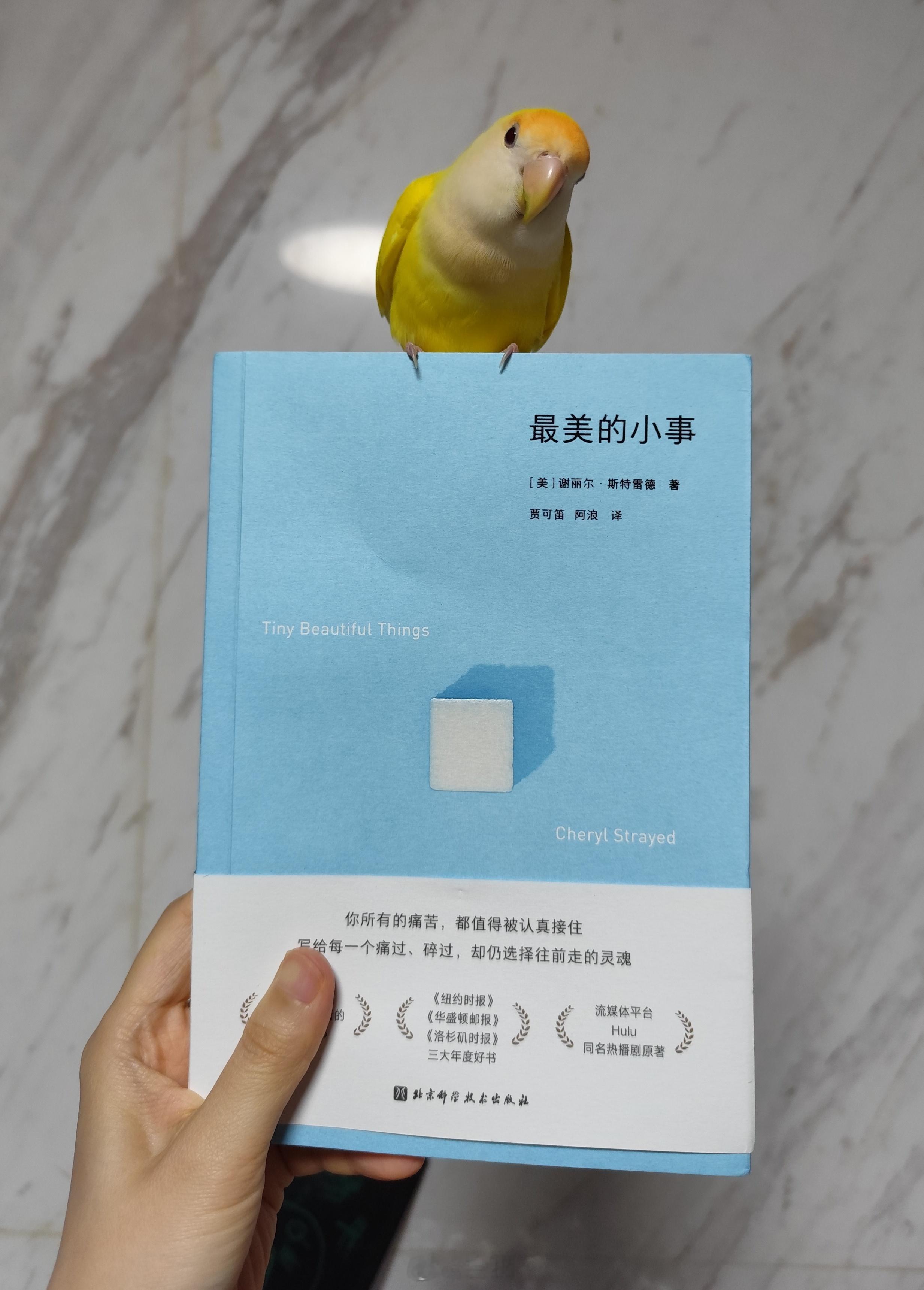 今天拿到了新书，还做了意面