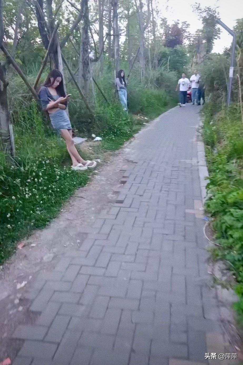 初秋的早晨，漫步在凉意的小路上让人神情气爽！