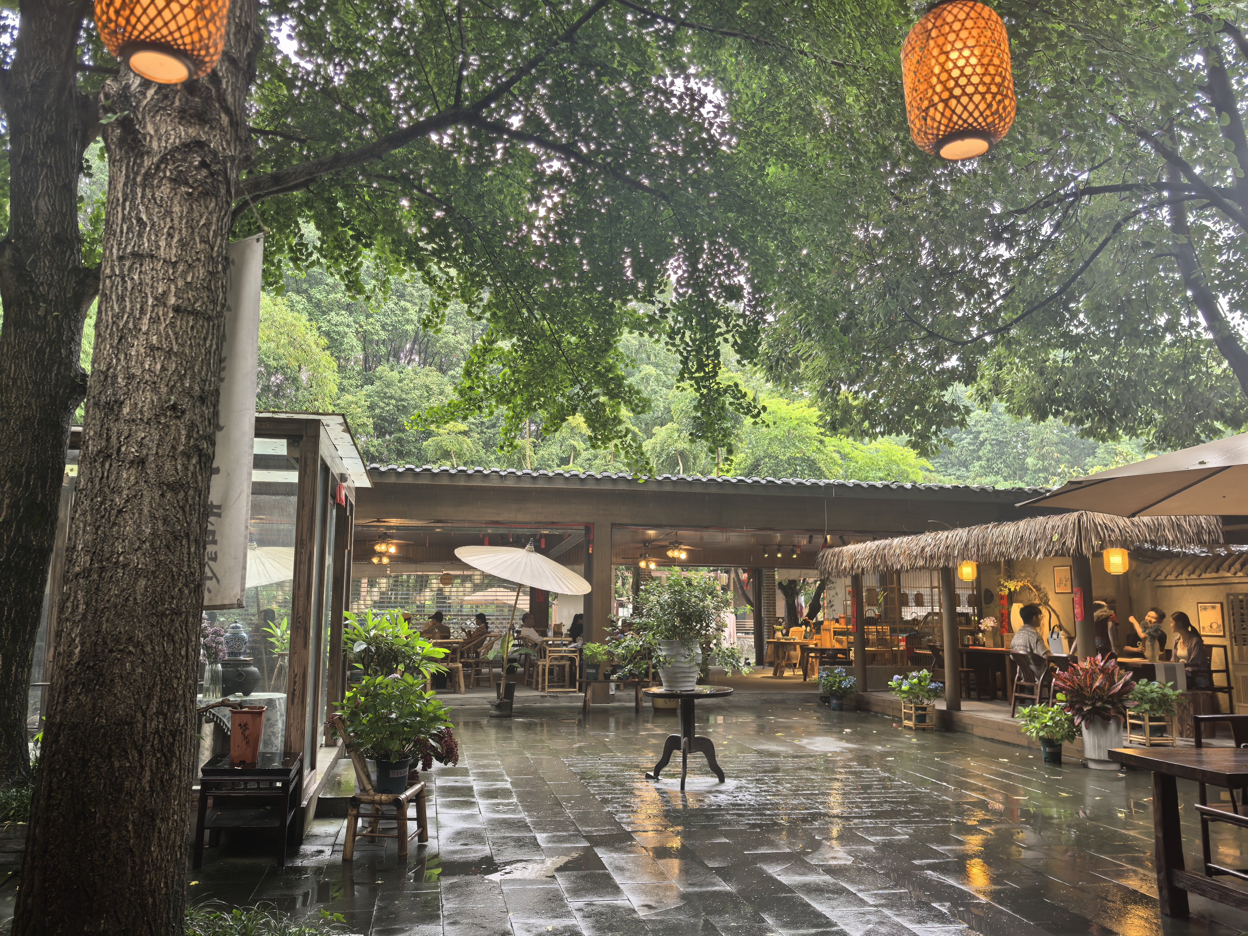 今日细雨，坝坝茶 