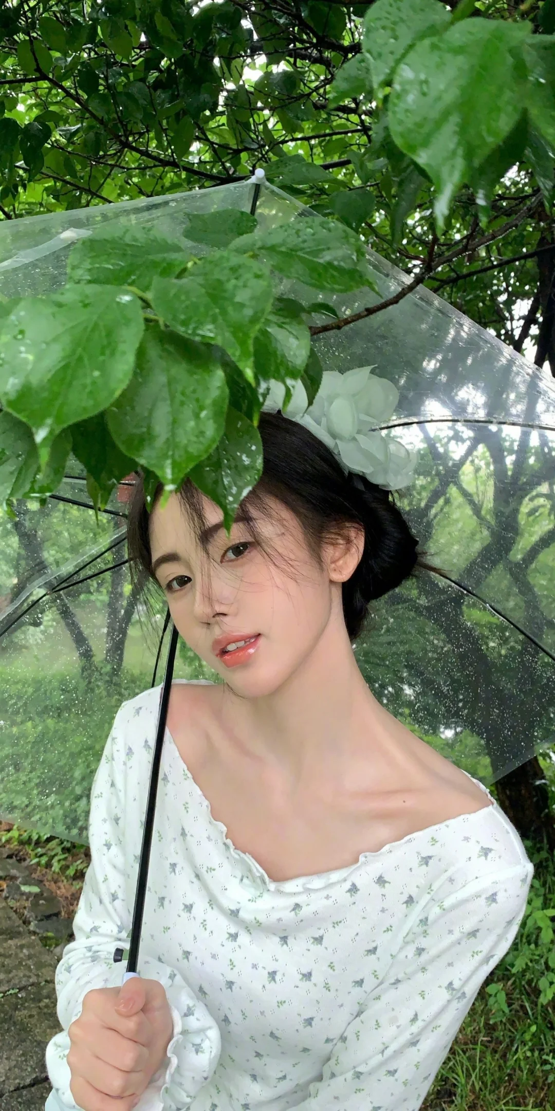 鞠婧祎林中撑伞的样子真美，像夏日里的一抹清新。