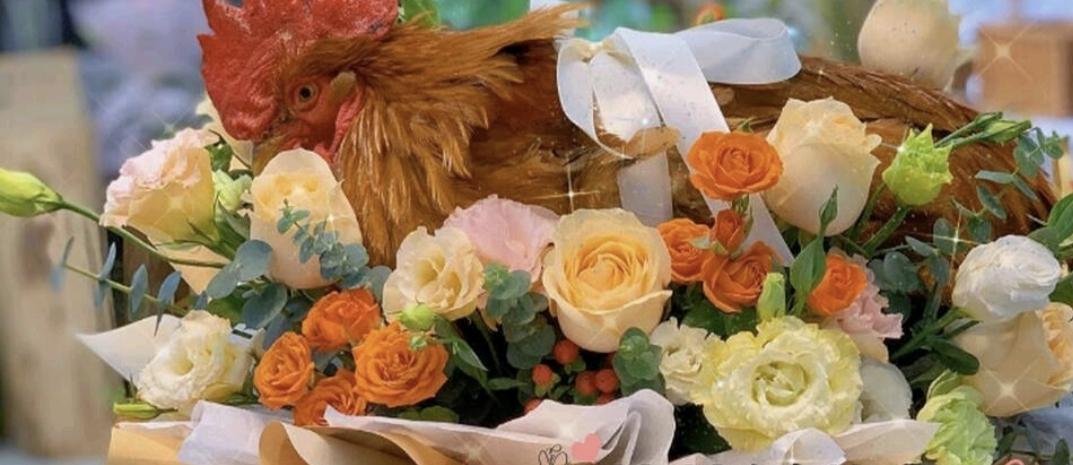 大公鸡花束好漂亮啊鸡也有花花陪衬了