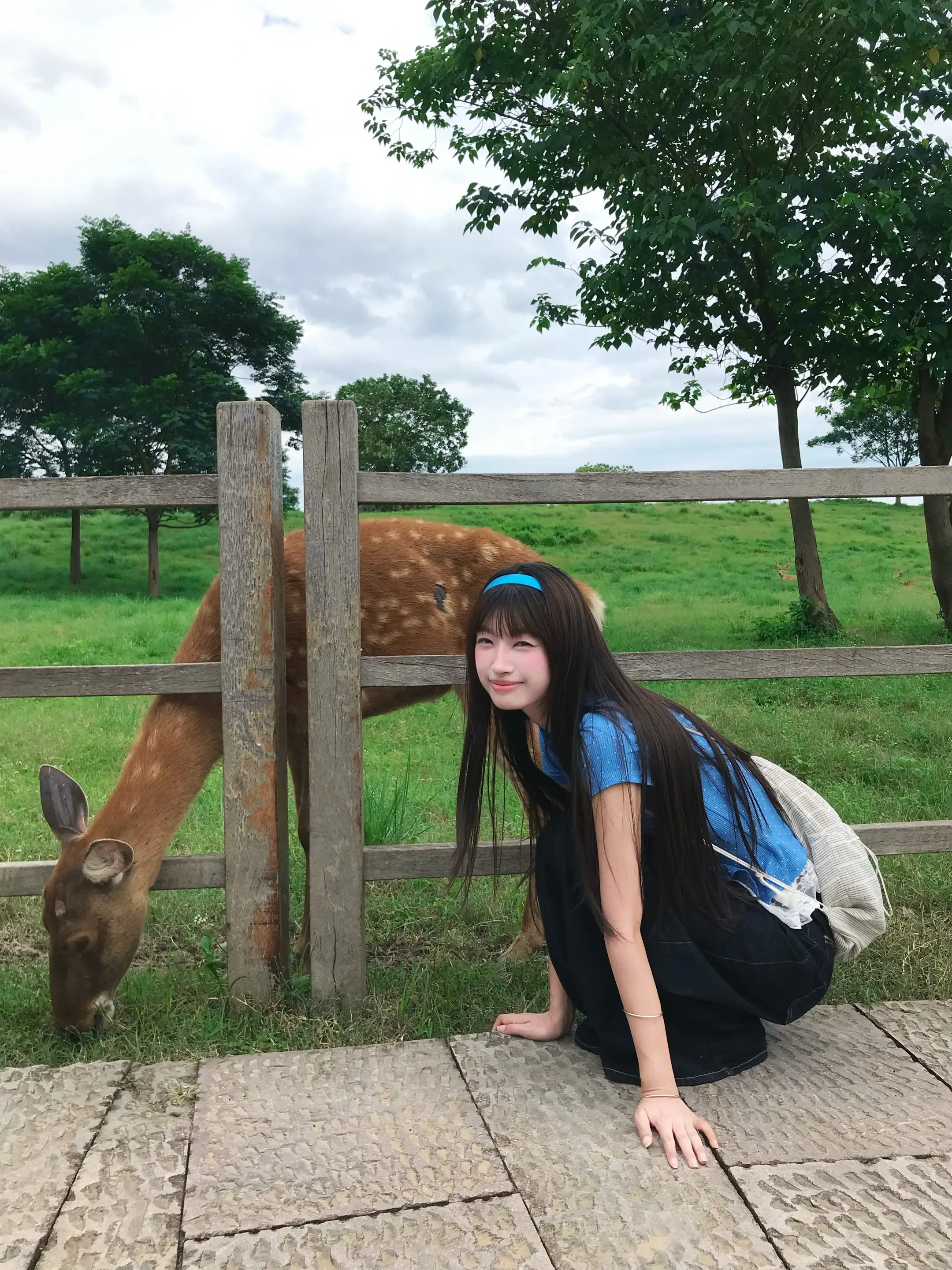 ⟢.₊ ⊹ ✿ ˚. 🦌 ⋆小鹿乱撞。