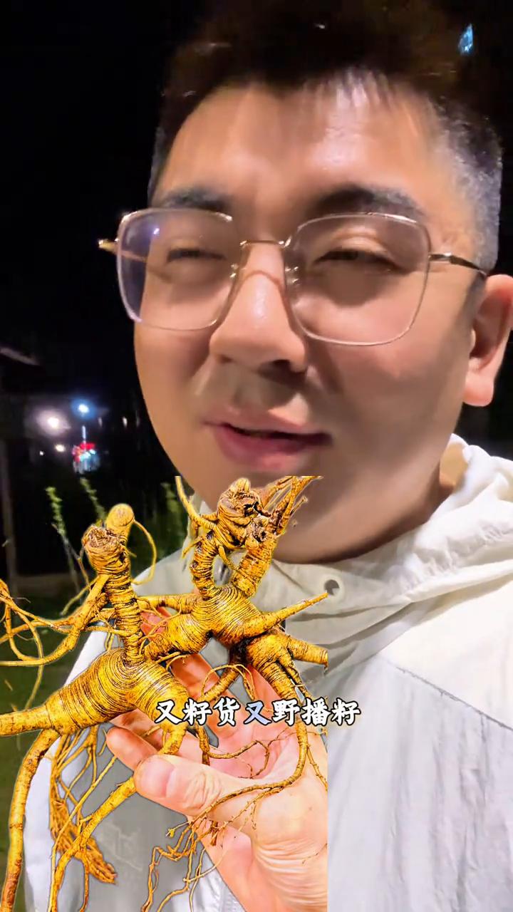 很多人说：小石，你们卖人参就卖人参呗，怎么给人参起那么多名？又什么趴货、有籽货、