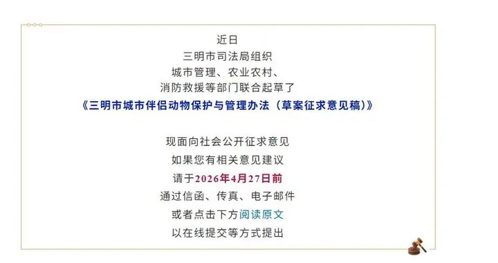 从“不许伤害”到“应当善待” 三明首次探索“伴侣动物”立法背后