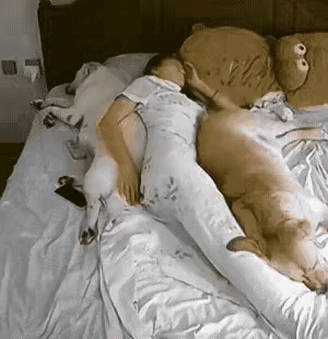 最不理解跟狗狗一起睡觉的女人！
就不怕狗狗放屁么？不怕狗狗有别的想法么？老时候有