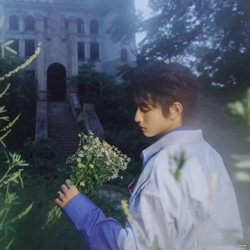 🍊 “星星在夜晚散落，太阳渐渐聚集橘黄，斜阳落在你身 黛眉满是温柔.”