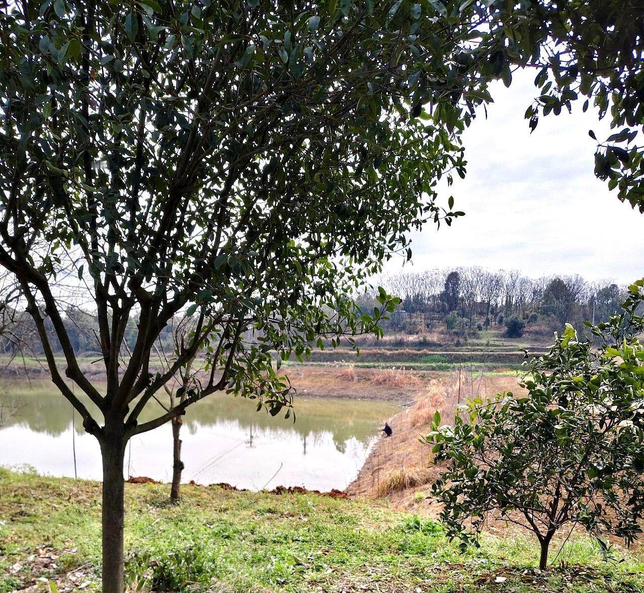 那个在池塘边冻了半天的女婿，钓的根本不是鱼。
 
寒风刮得脸生疼，鱼漂半天没动一