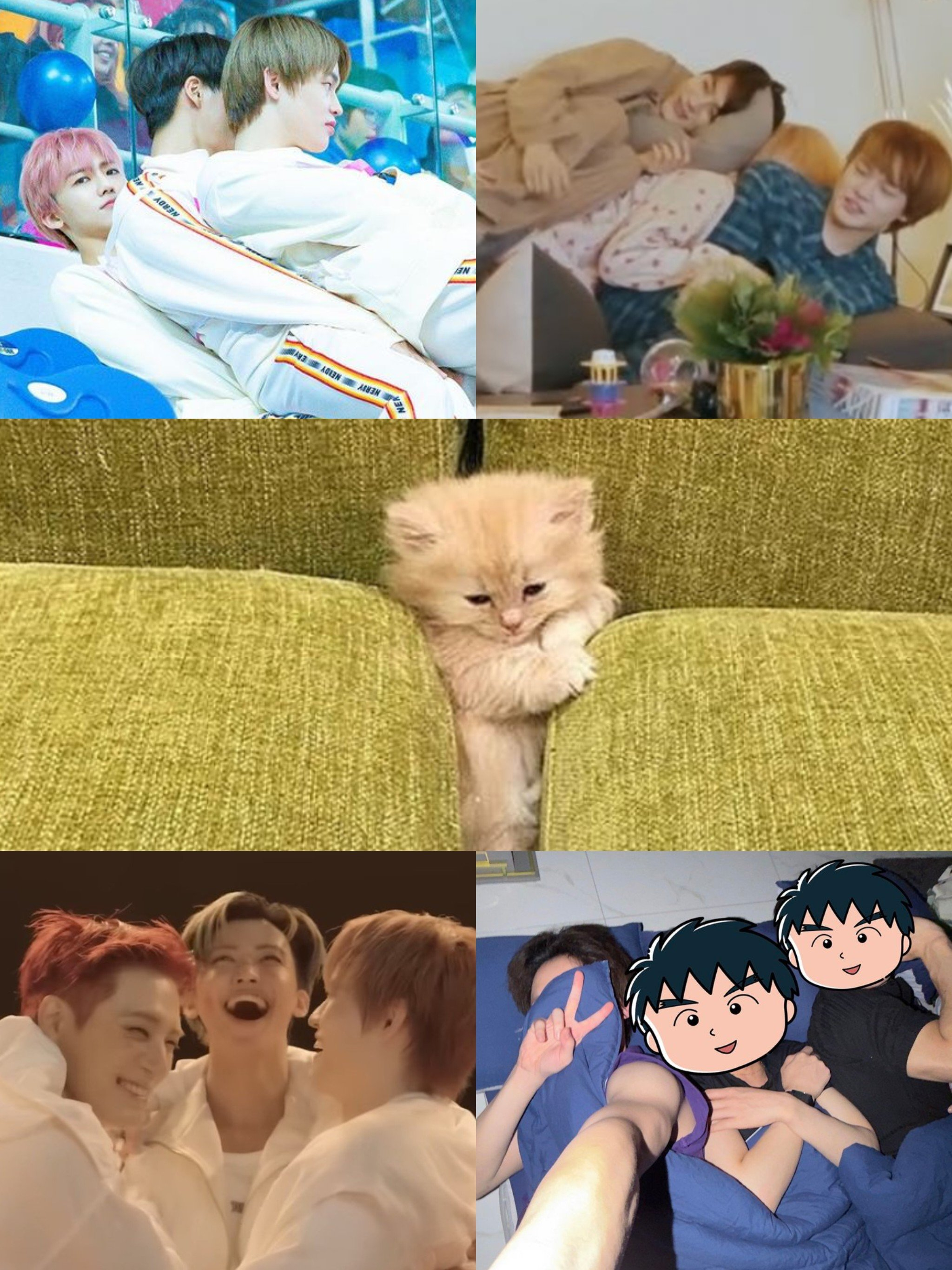 ©g_eneglaer猫儿 