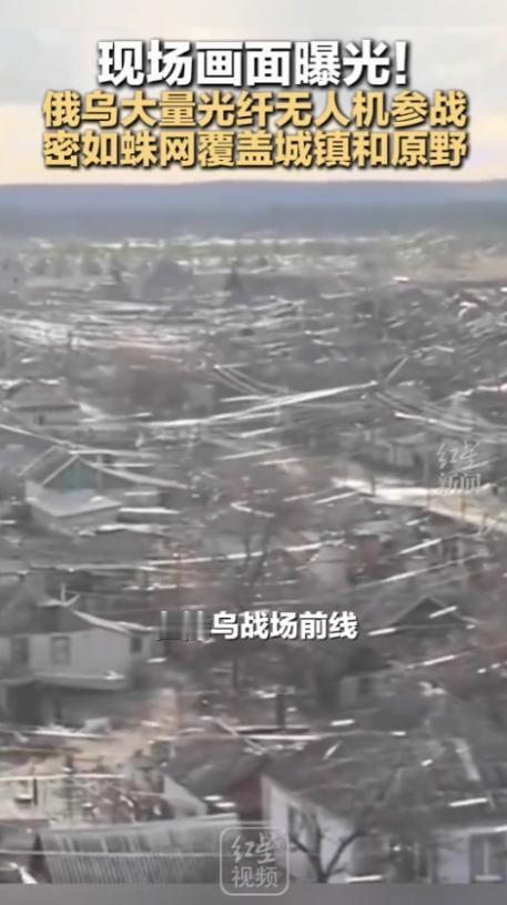 你敢信吗，等仗打完了，整个乌克兰的平原，或许会变成一个巨大的、亮晶晶的“盘丝洞”