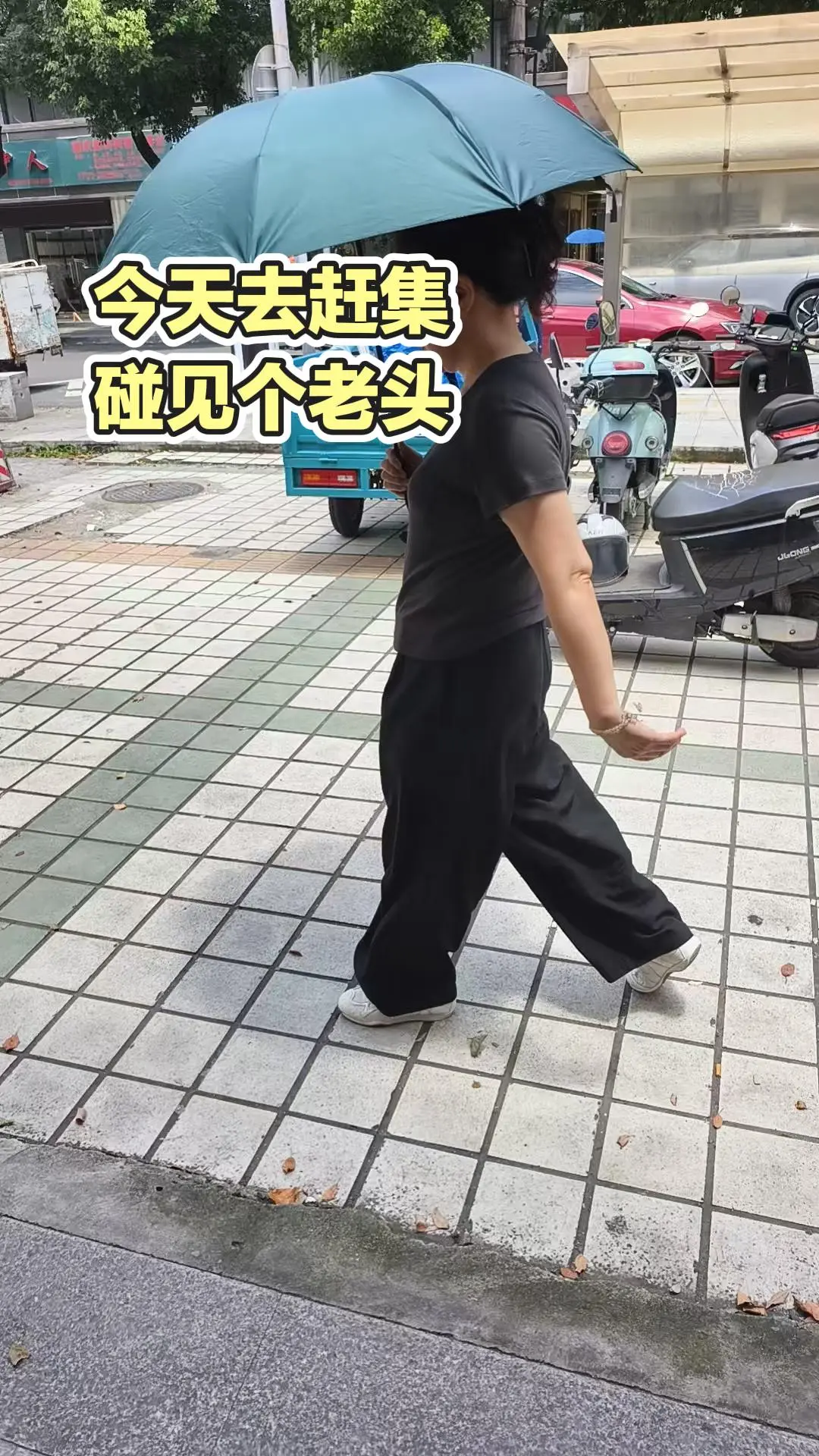 每日分享