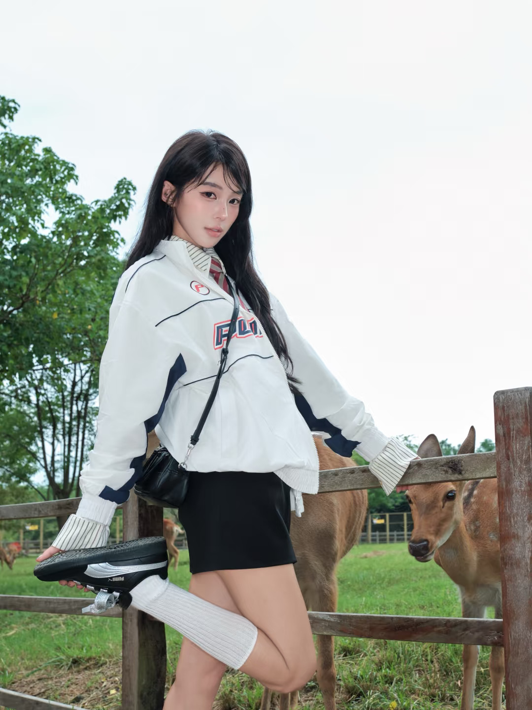 来喂小鹿了🦌