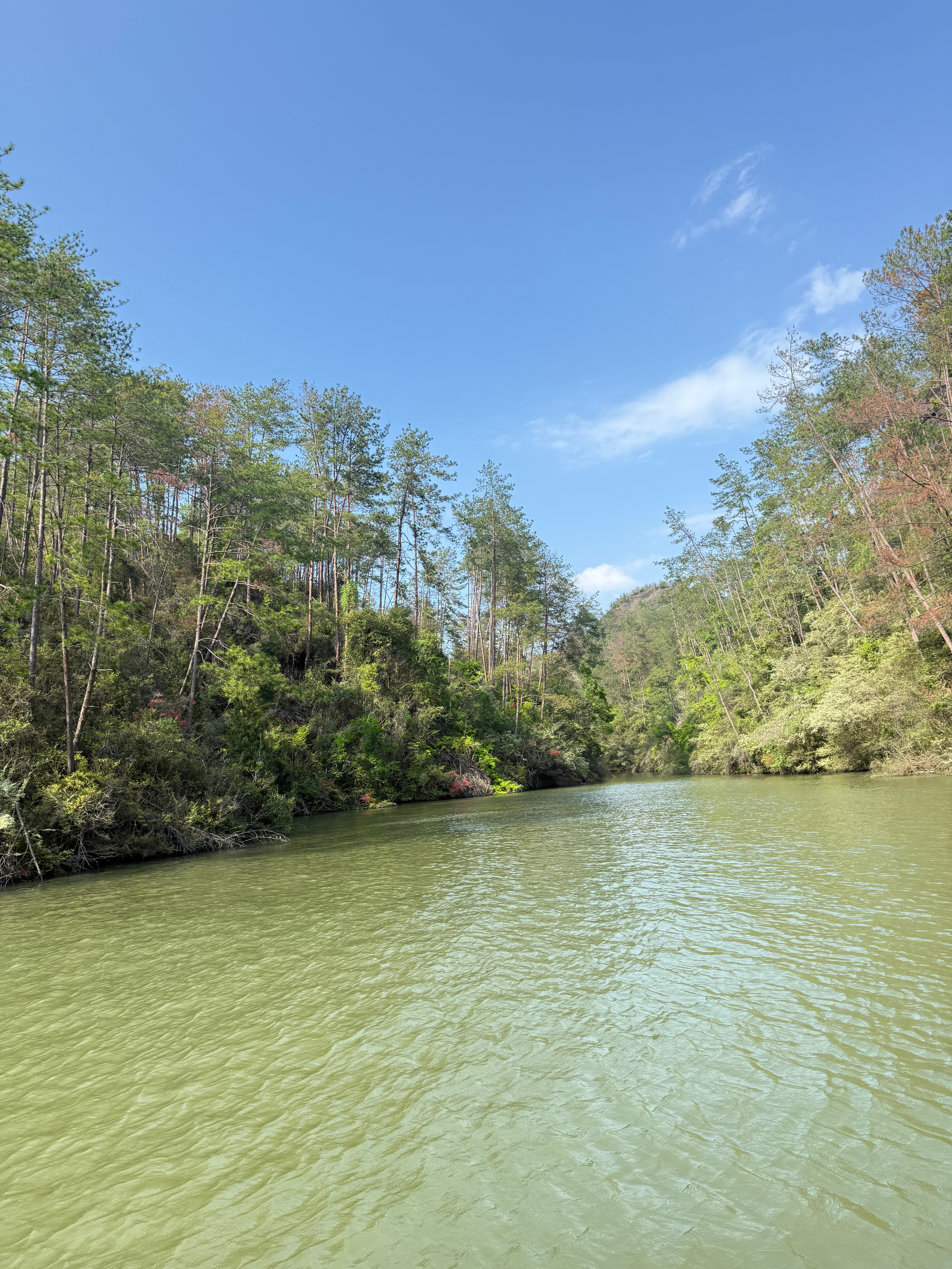 坐游船了，非常美，我爱大自然跟旅蛙说坐完船吃点东西就回家吧？哥一脸莫名其妙看这说