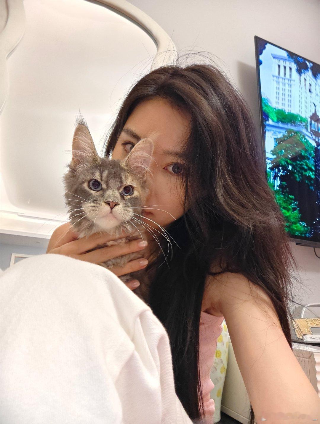 mia的plog时刻 每天都着急回家吸猫Luna真的是感觉每天都在长大 上海