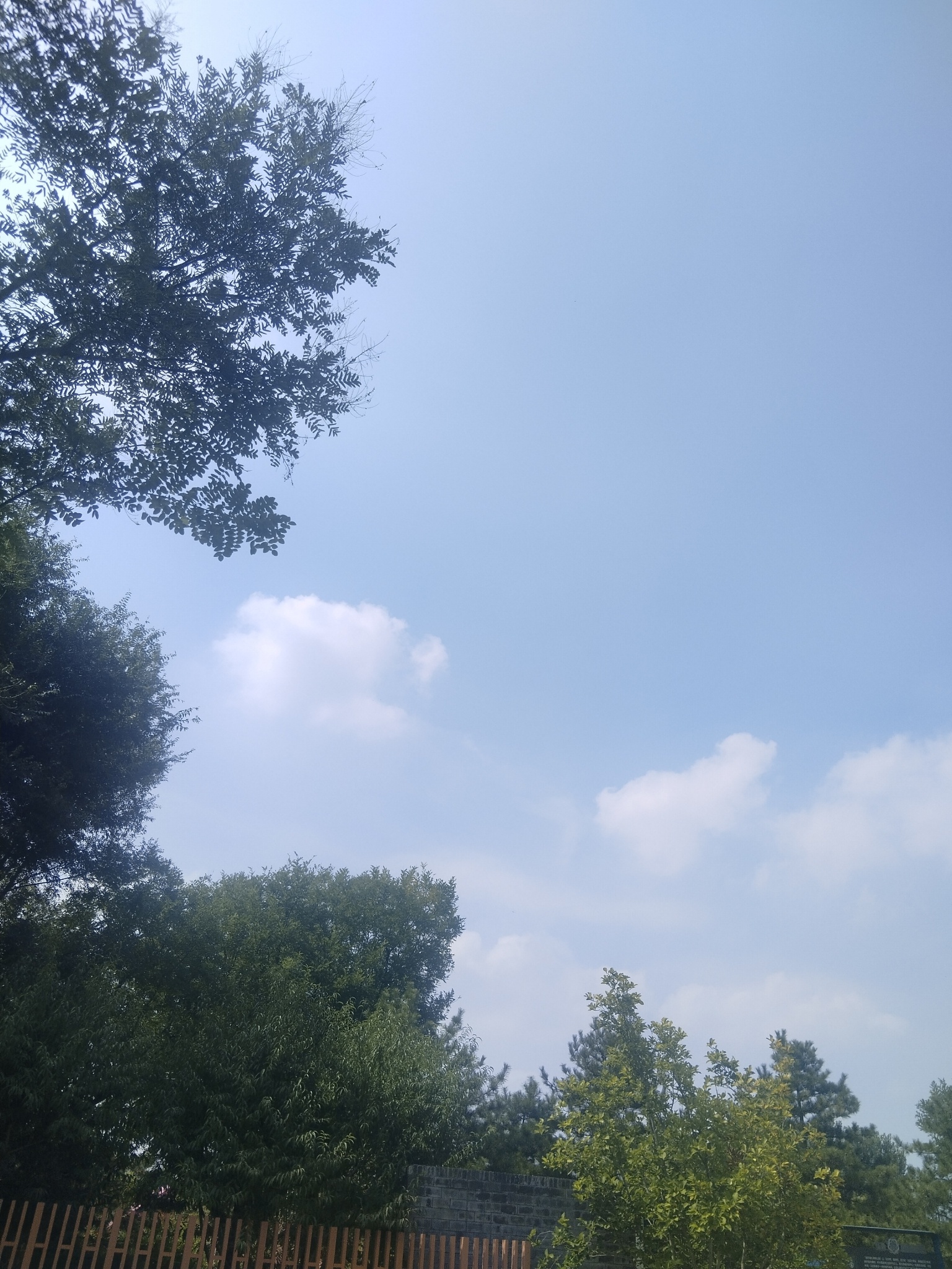 水岸。 对面有什么？眺望未来……你好 世界 你好 世界  绿洲