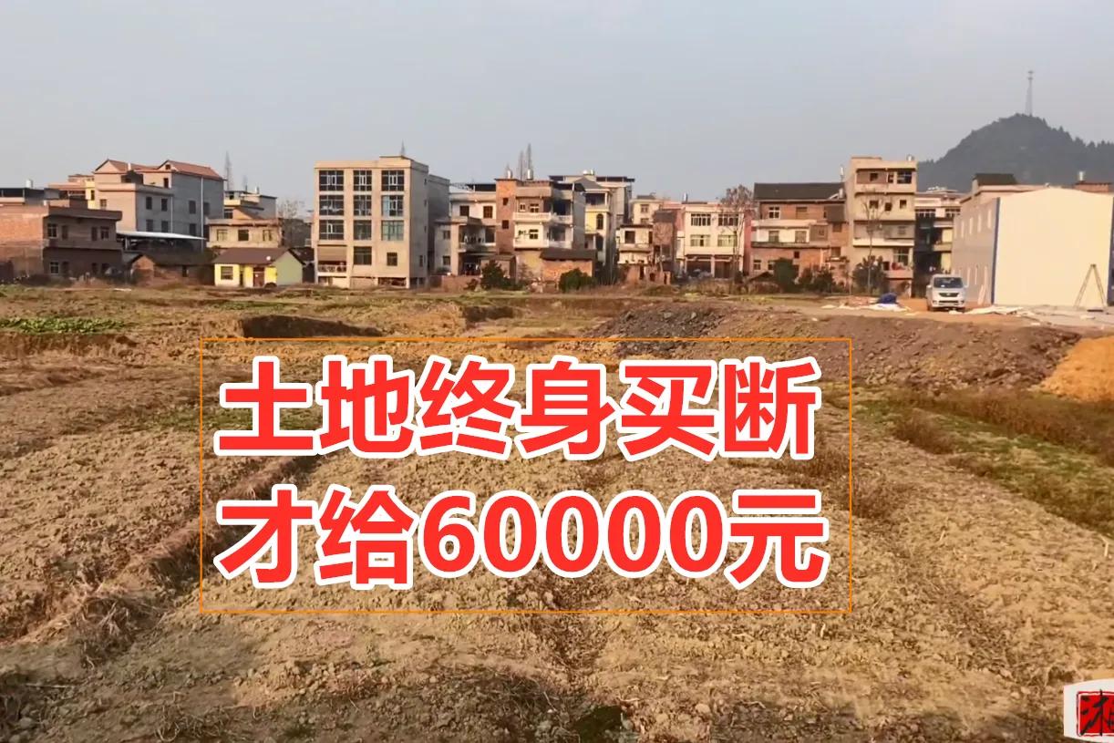 这土地买断的事儿，真不是件小事。眼前的利益诱人，但未来的路还长着。咱们得为自己、