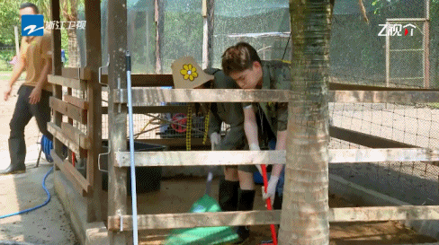 #丁禹兮蔡文静好能憋# 面对动物粪便的异味，丁禹兮蔡文静强强联手完成工作，这两人