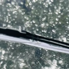 阳光信用 阳光总在风雨后。 
