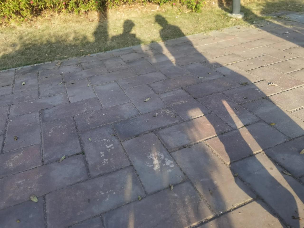平安喜乐