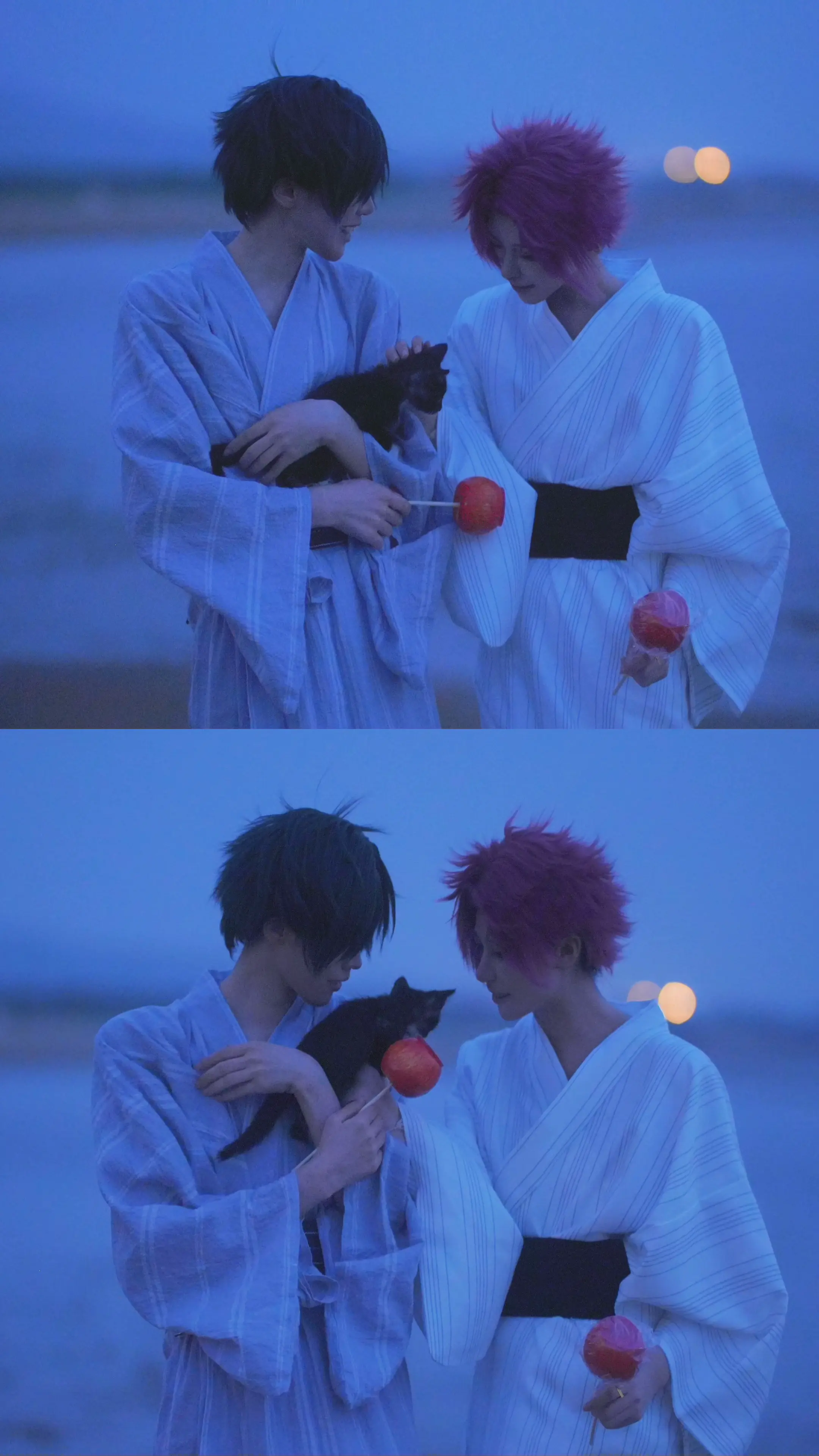 能陪我一年又一年吗。感谢路人倾情提供小茂密一只，拍照拍到一半突然手里被...