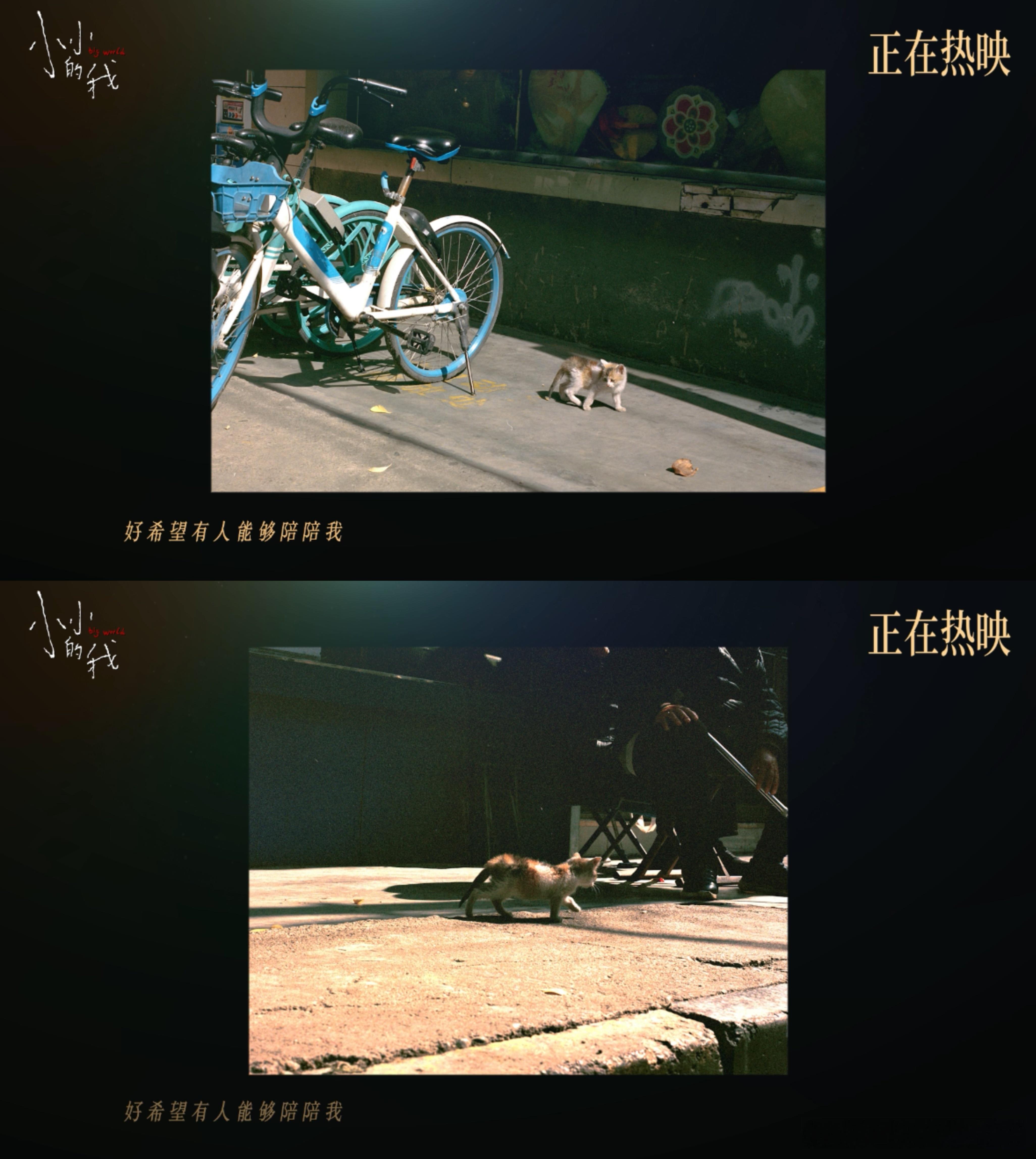 电影小小的我这条小鱼在乎MV  不容错过的当然就是来看电影《小小的我》刚刚发布的