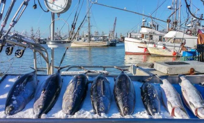 日本农相铃木宪和表示，日本已经恢复向东大出口水产品，首批约6吨日本北海道冷冻扇贝