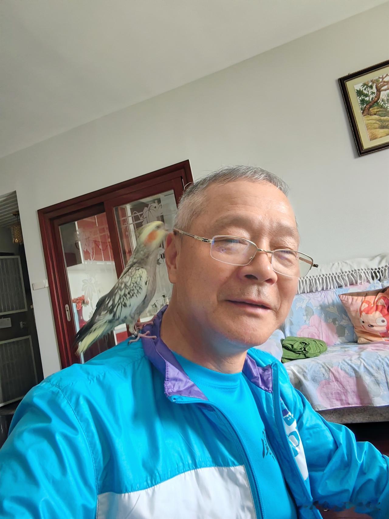 这是我姐姐家的小鸟，名字叫：玄凤鹦鹉，是我姐姐暂时寄养我家的。今天是第四天，一大