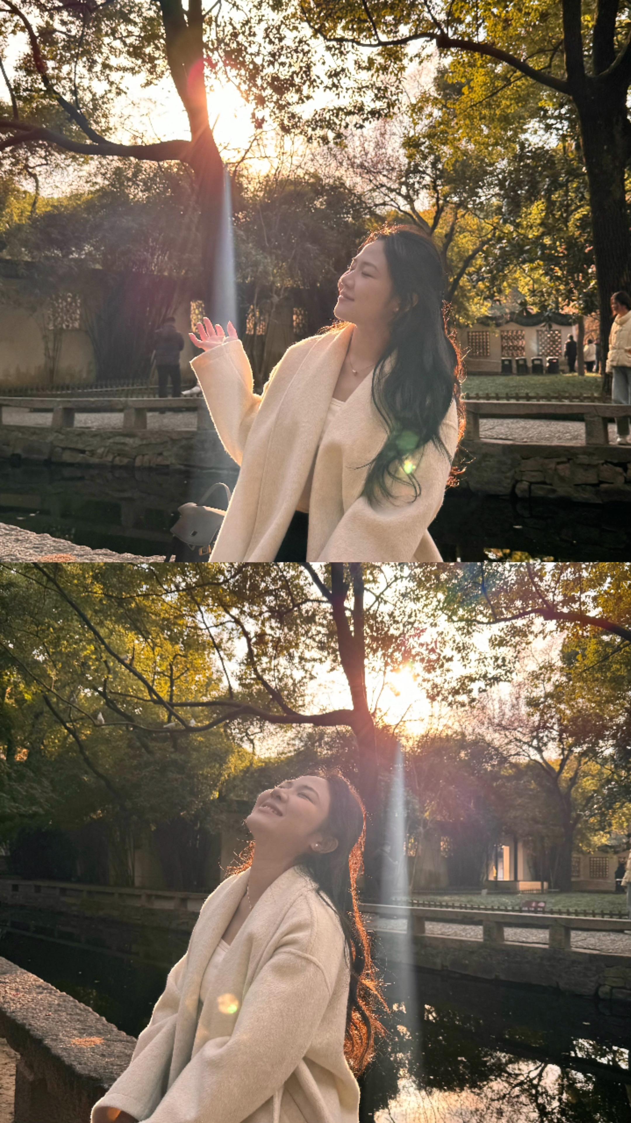 仍未忘相约看漫天黄叶远飞   🍂