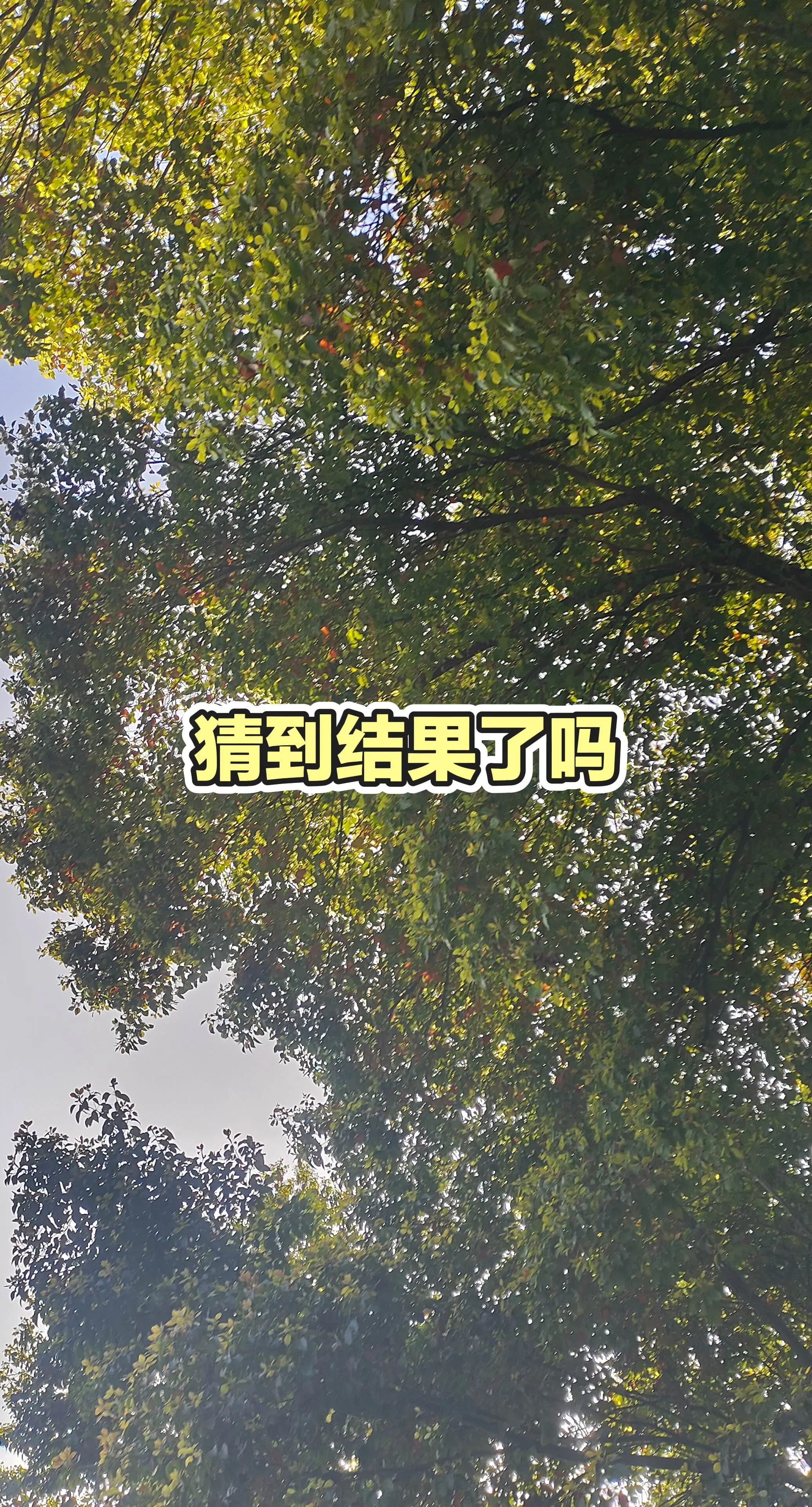 日更