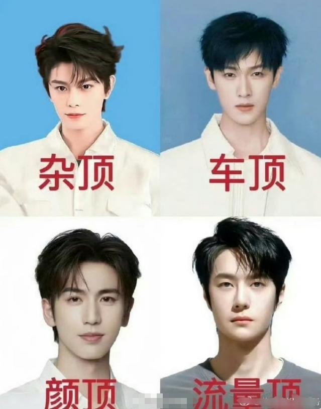 网友评选出来95生四顶
丁禹兮杂顶、李昀锐车顶、张凌赫颜顶、王一博流量顶，丁禹兮