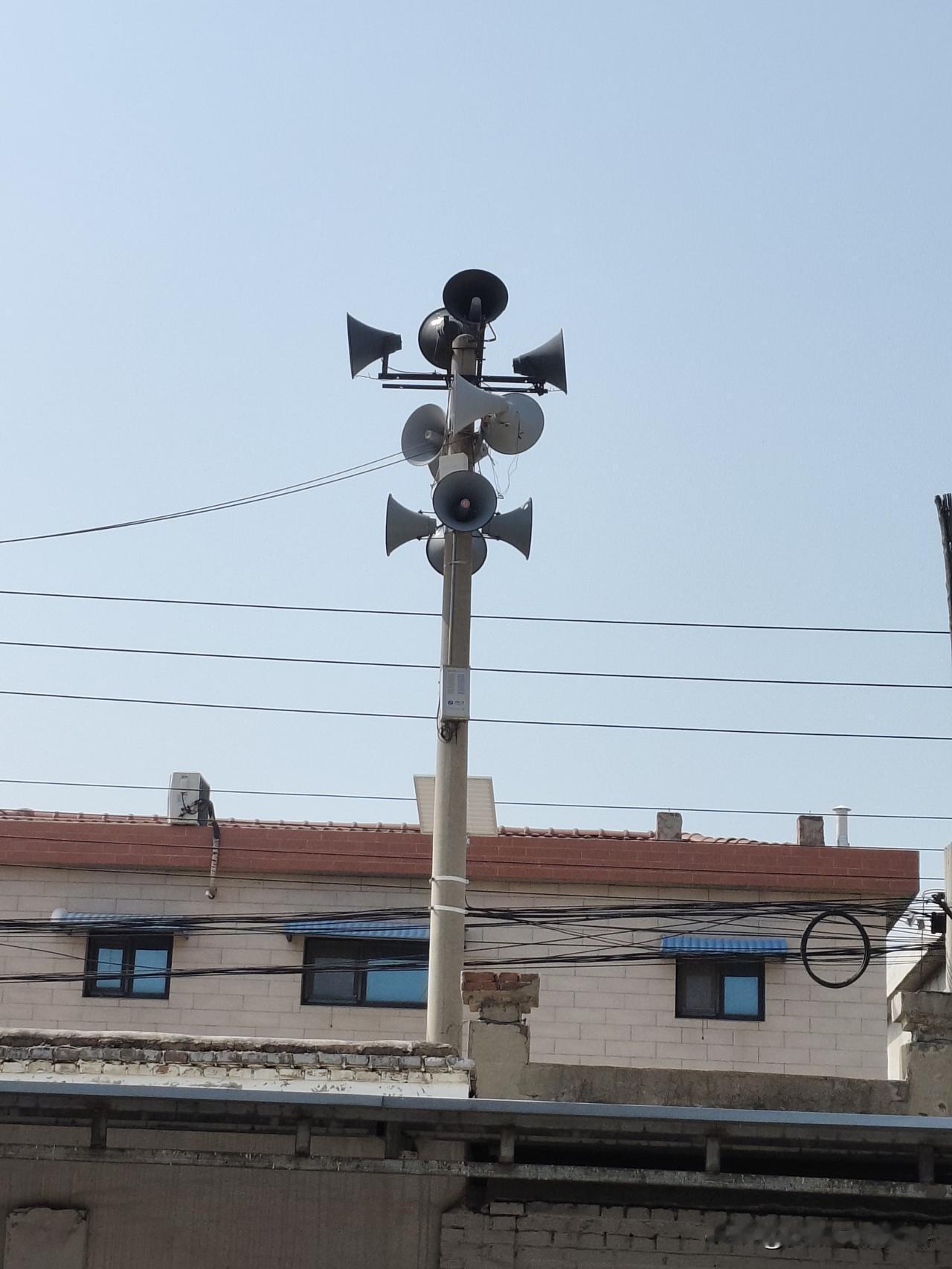 马上就要演讲了！分享读书体会。

我将要分享作家路遥的小说《人生》。

小时候，