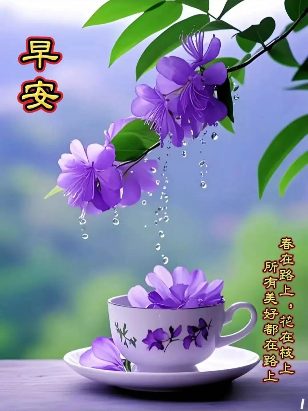 又是一年梨花开

临河先生
 
最后一缕冬寒刚在枝桠消散
宁陵梨园，抖落漫天雪瓣