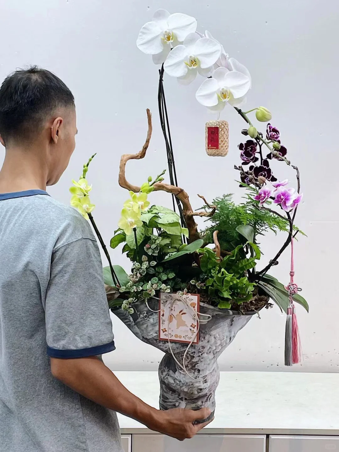 龙兰大白