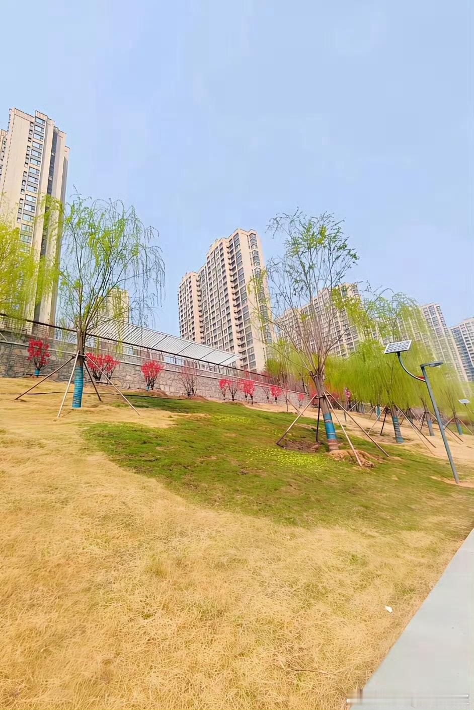 央视调查烧秸秆屡禁不止老祖宗早就说过，野火烧不尽，春风吹又生 全世界都知道这个道