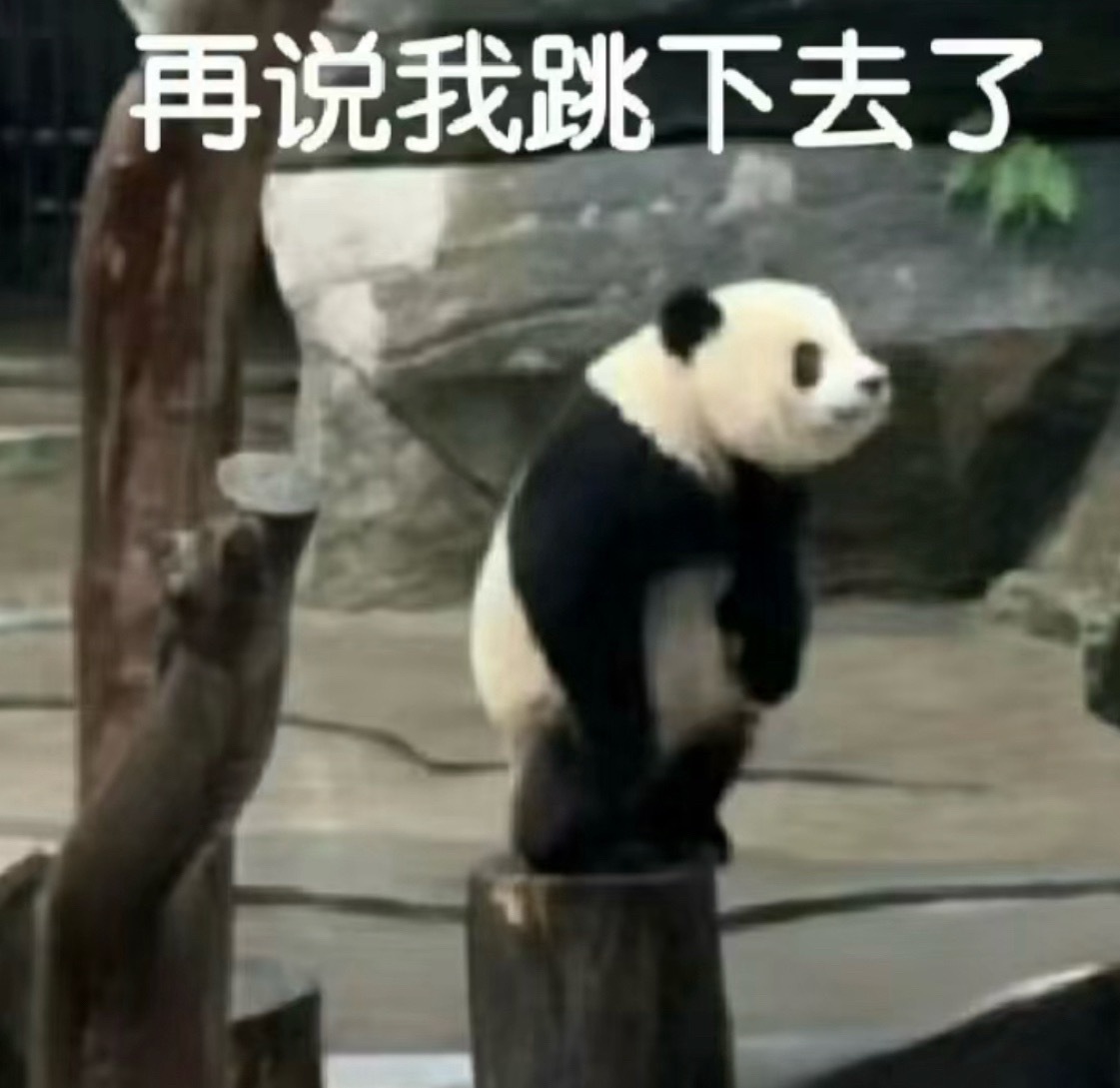 大家好，你们的电子姐妹👭泰美丽终于在自己的两米大床上睡醒了。起这么晚的原因是昨