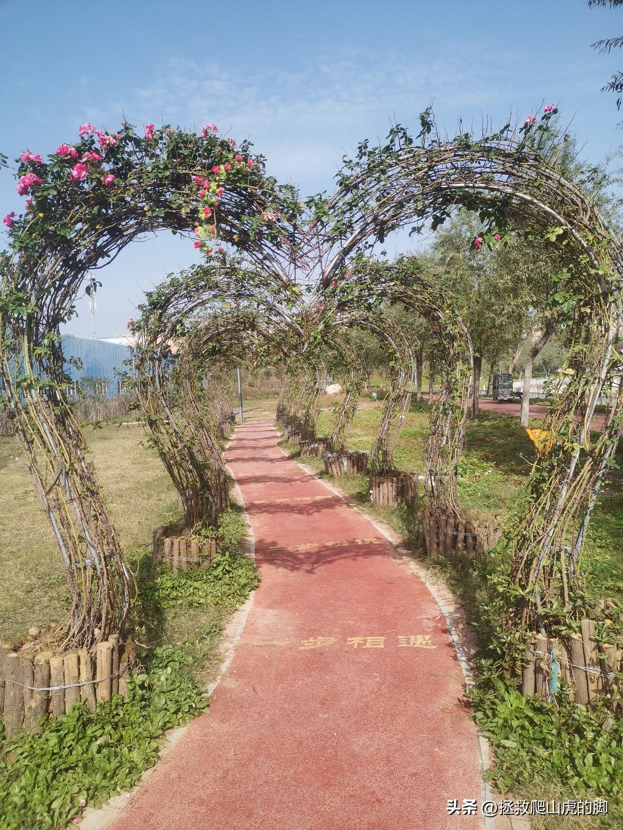 记录我的2026相册里最有意思的一张照片