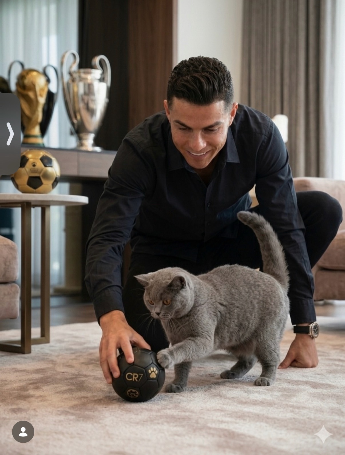 🐱🐈 