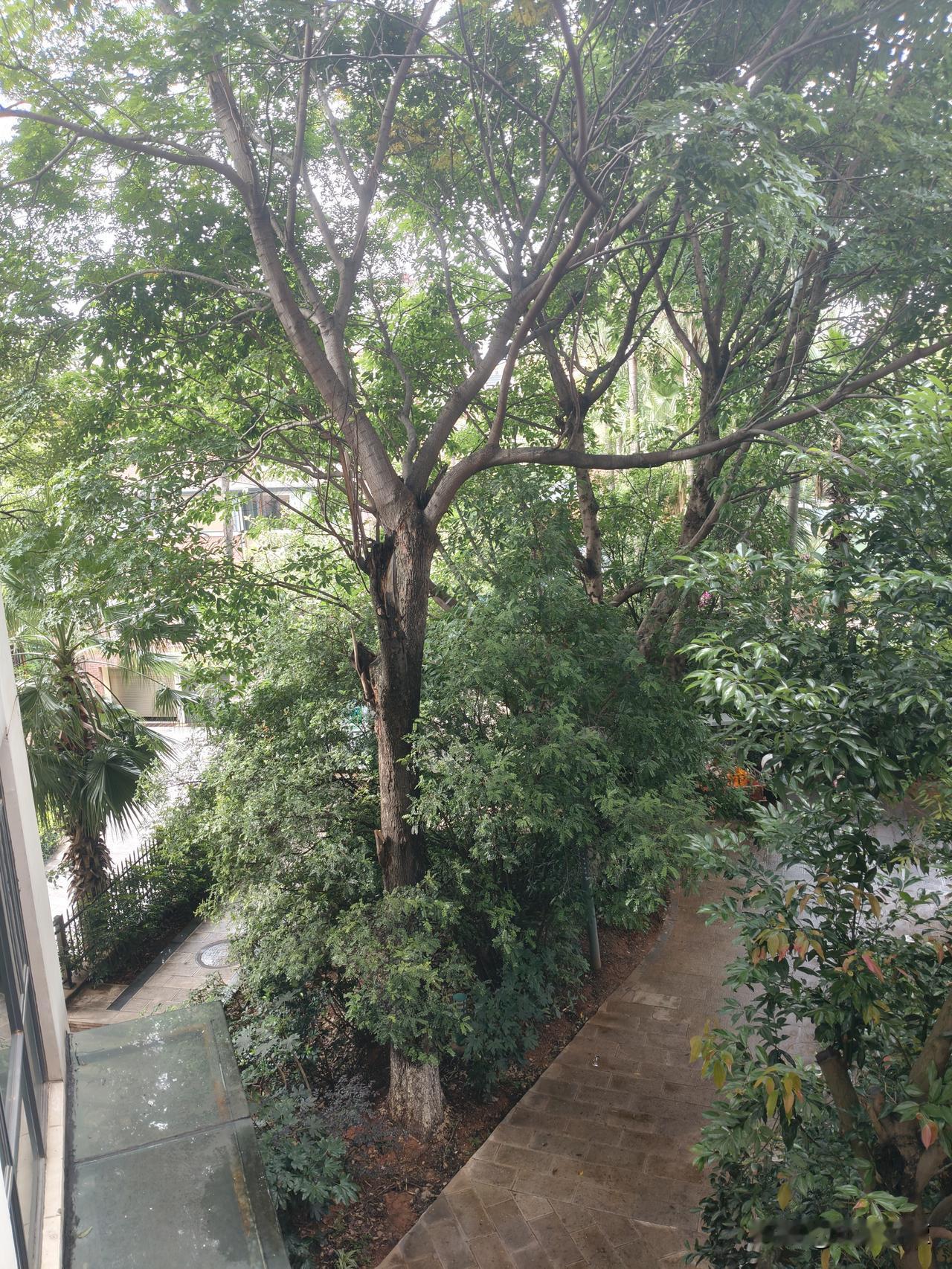 全款无所谓，贷款四千家[捂脸]