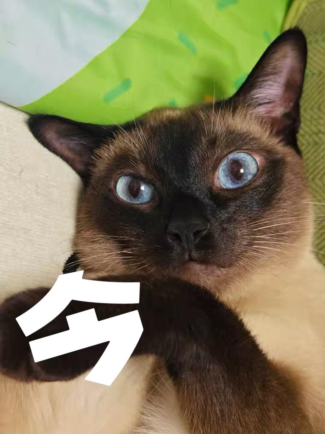 今晚六点在林喂喂大号等你！