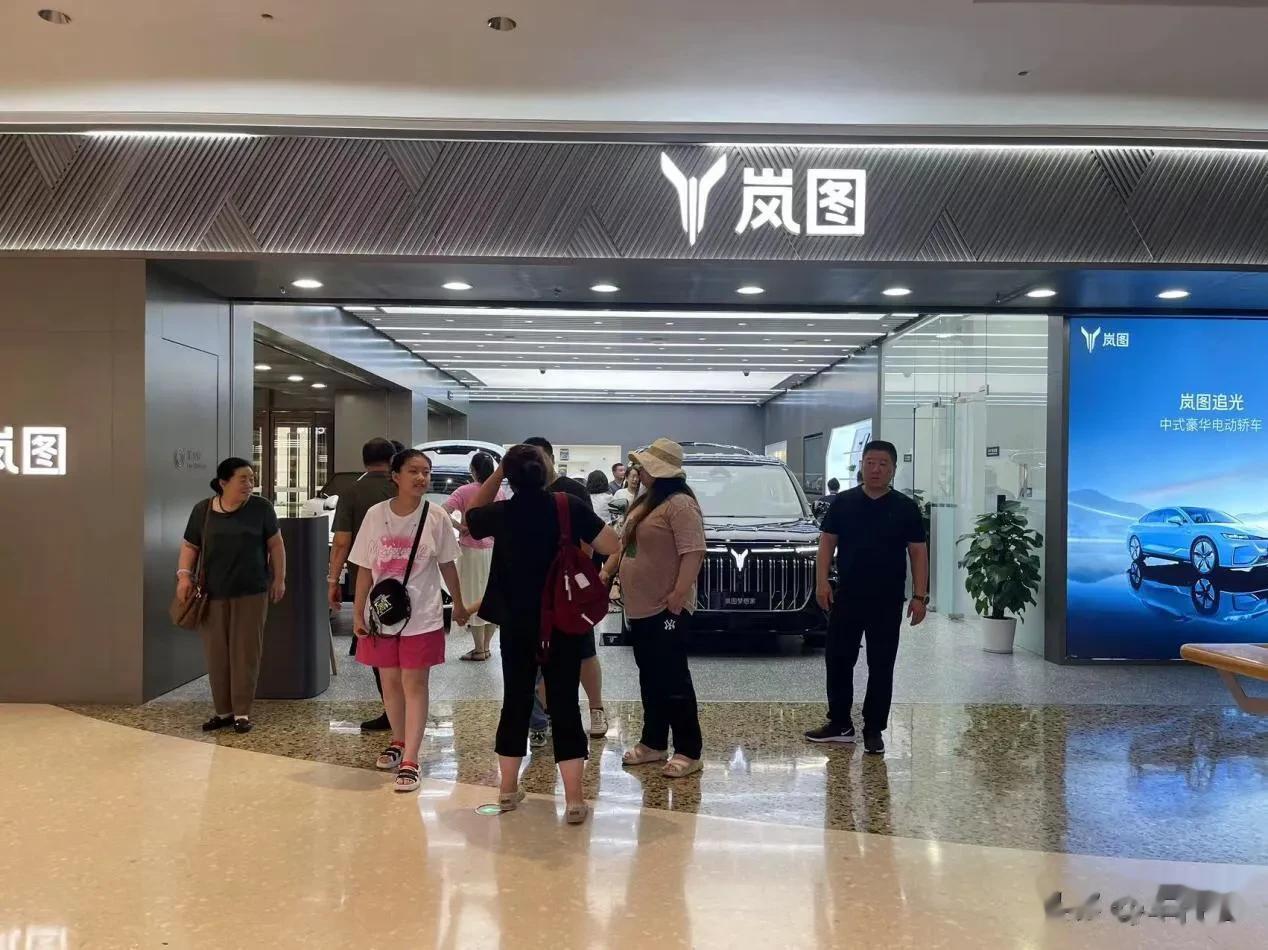 新FREE的市场接受度相当高，就参考最近岚图官方发布的“准车主图鉴”来看，新岚图