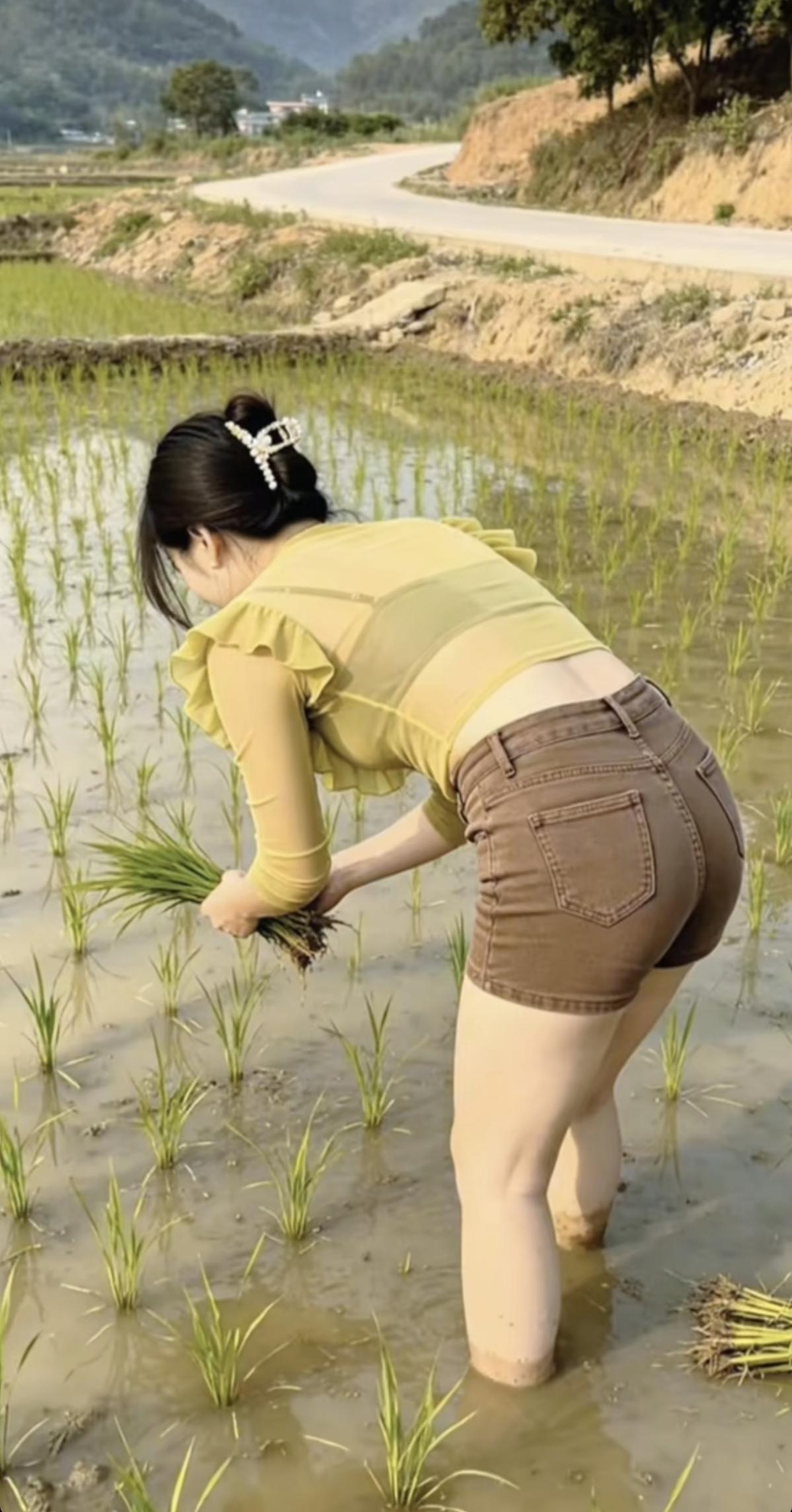 田园劳作，播种希望，收获美好！