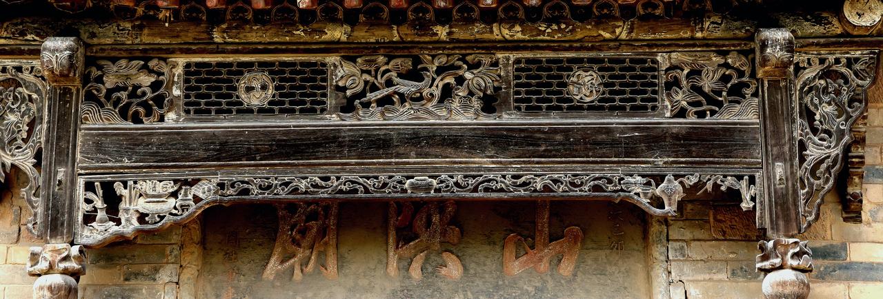 我必须分享我拍的杨浦春景照片。三月的杨浦，简直美成了油画。
共青森林公园里，梅花