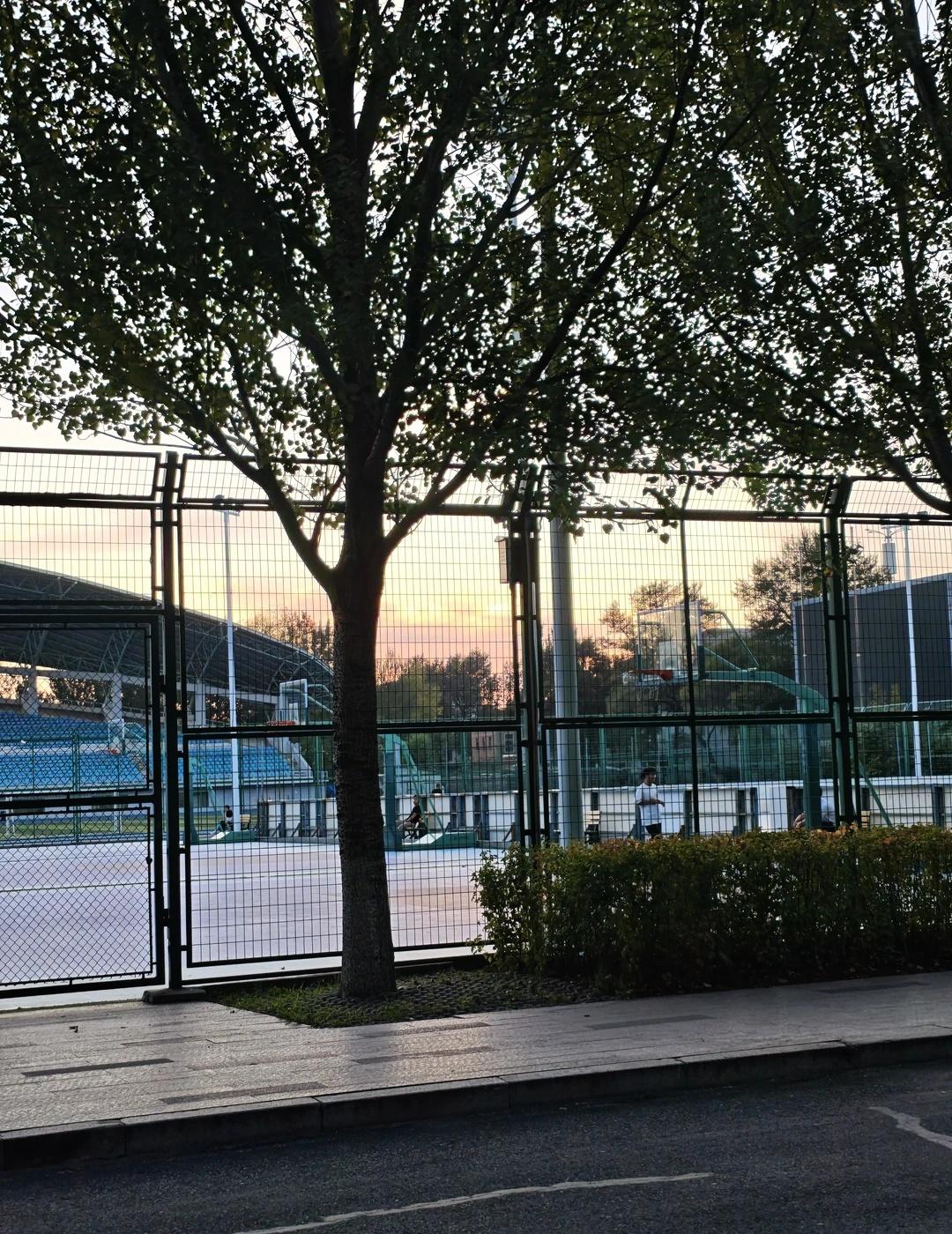 上了大学还打球吗
为什么上了大学没有高中那种打球的冲劲了大学 打球