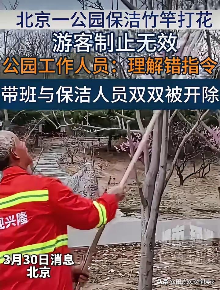 保洁因打花被开除，舆论影响非但没消除，反而引爆了更大的争议。
​这几名保洁员真是