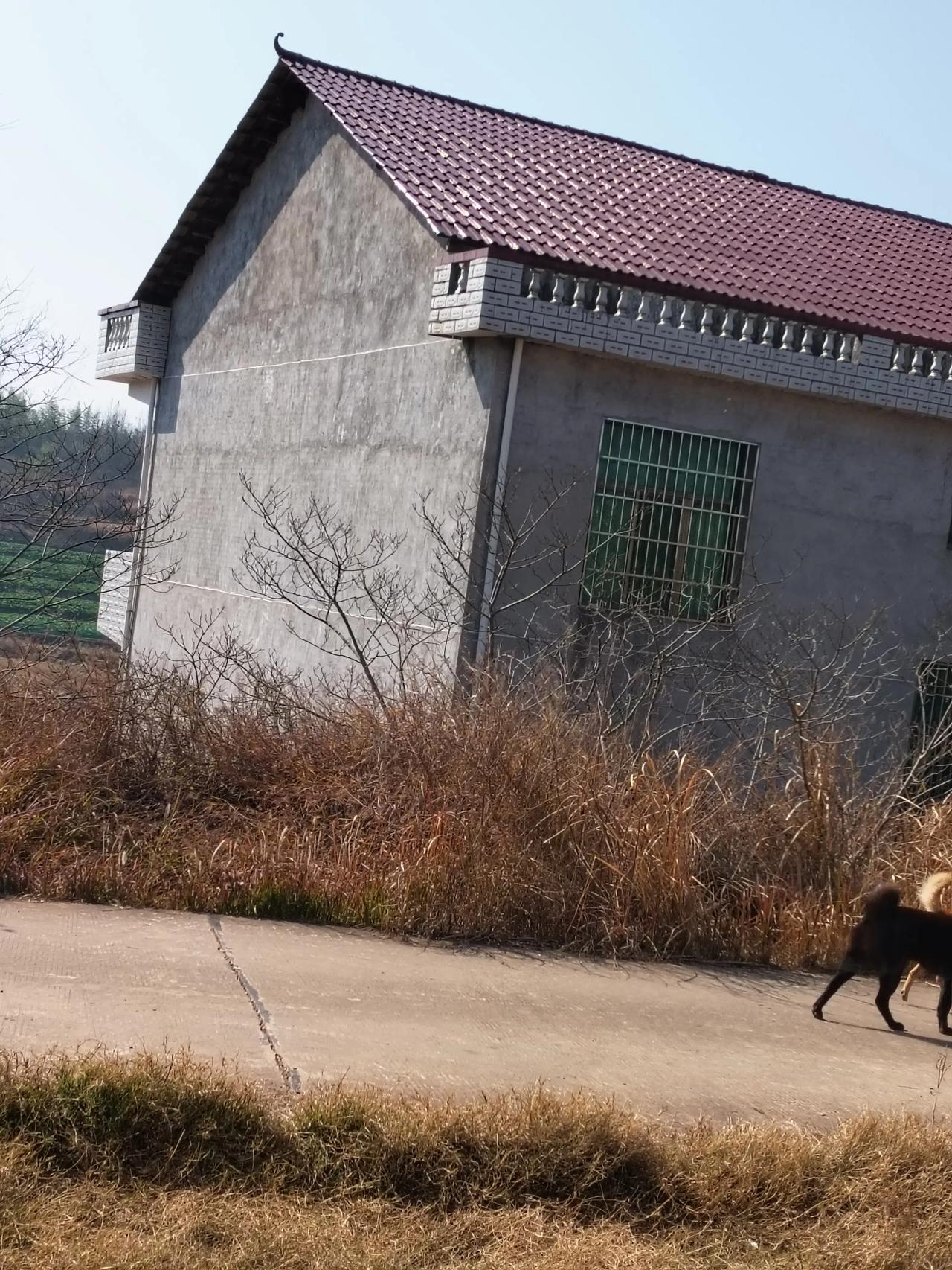 今年冬天的不同今年冬暖